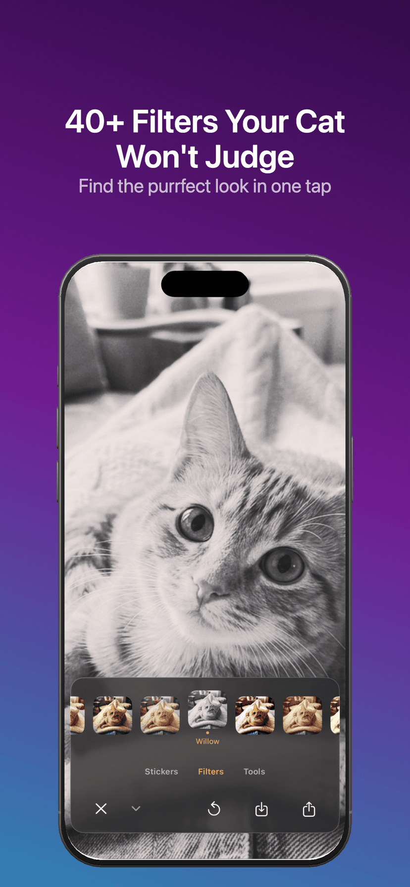 Caticker Screenshot 4