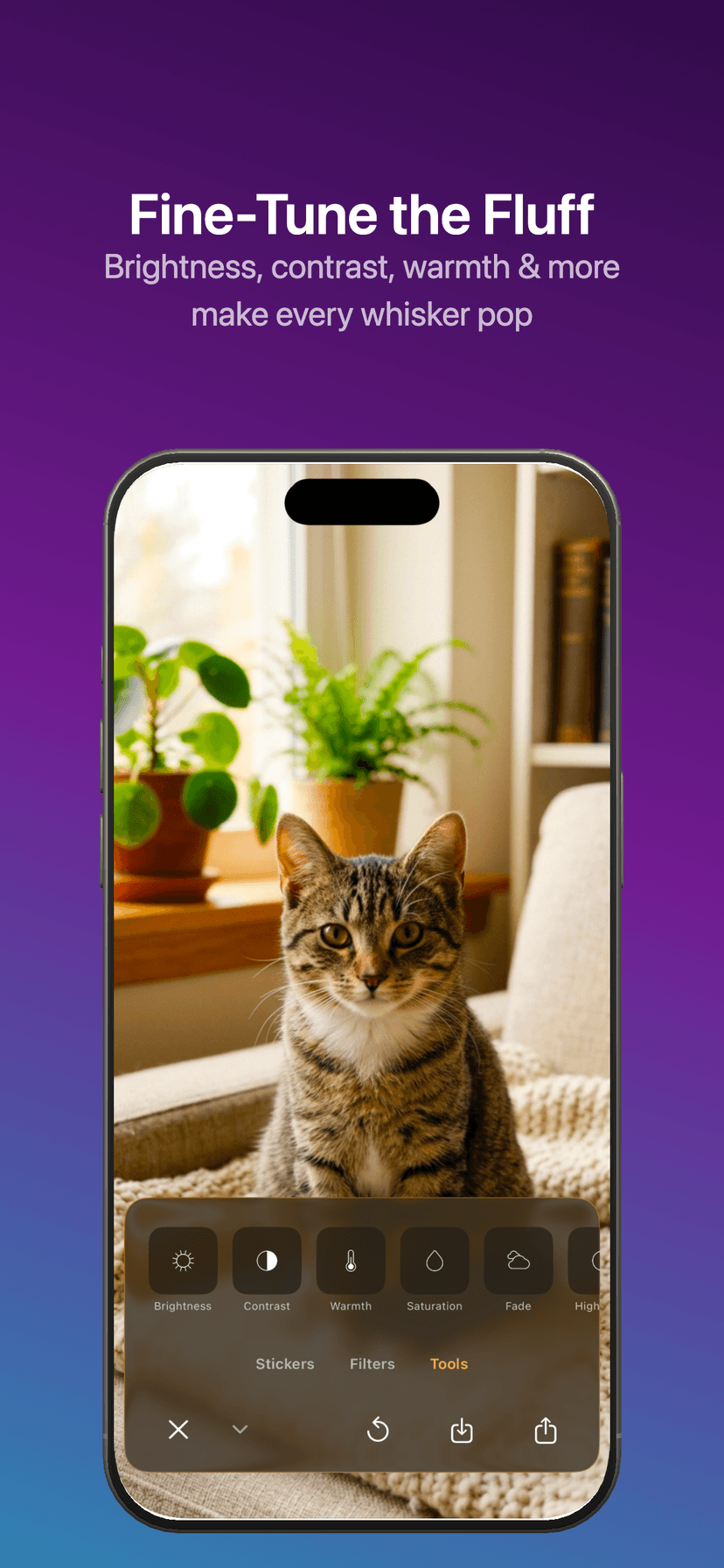 Caticker Screenshot 5